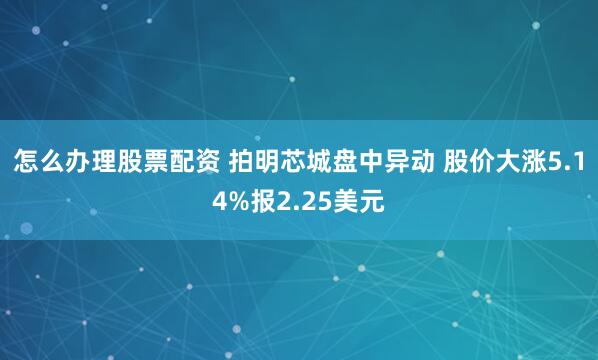 怎么办理股票配资 拍明芯城盘中异动 股价大涨5.14%报2.25美元
