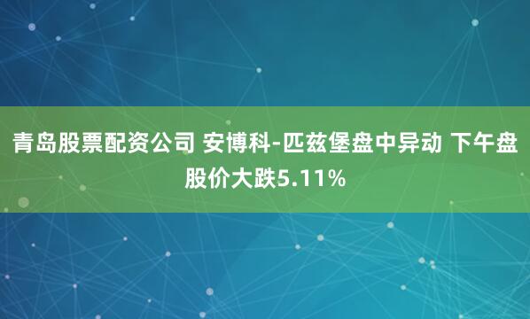 青岛股票配资公司 安博科-匹兹堡盘中异动 下午盘股价大跌5.11%