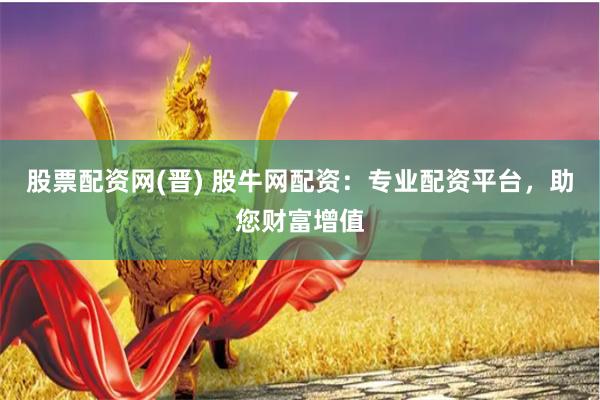 股票配资网(晋) 股牛网配资：专业配资平台，助您财富增值