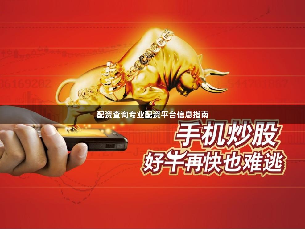 配资查询专业配资平台信息指南