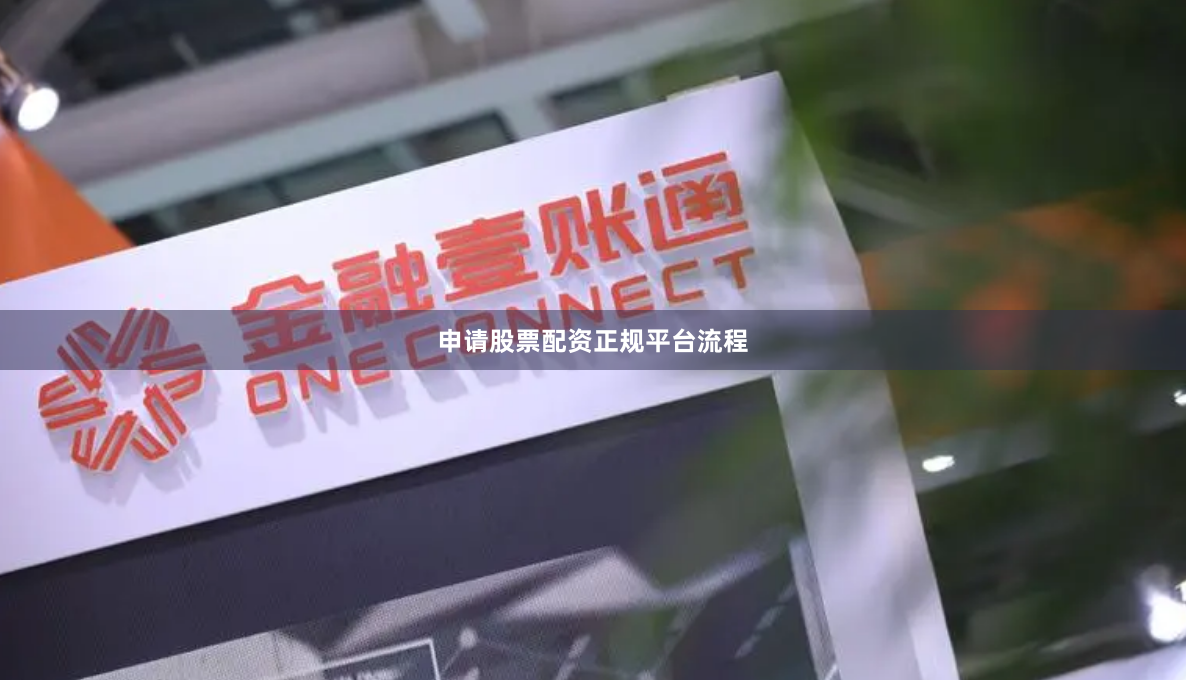 申请股票配资正规平台流程